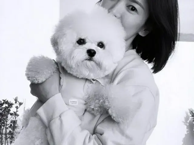 女優ソン・ヘギョ、愛情いっぱいのまなざし…愛犬との近況を公開（画像提供:wowkorea）
