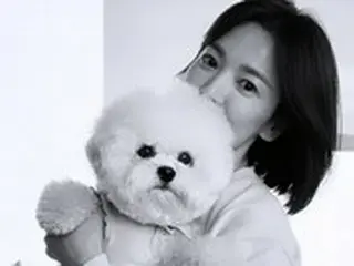 女優ソン・ヘギョ、愛情いっぱいのまなざし…愛犬との近況を公開