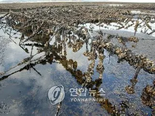 泰安沖原油流出、予想被害面積は3571haに