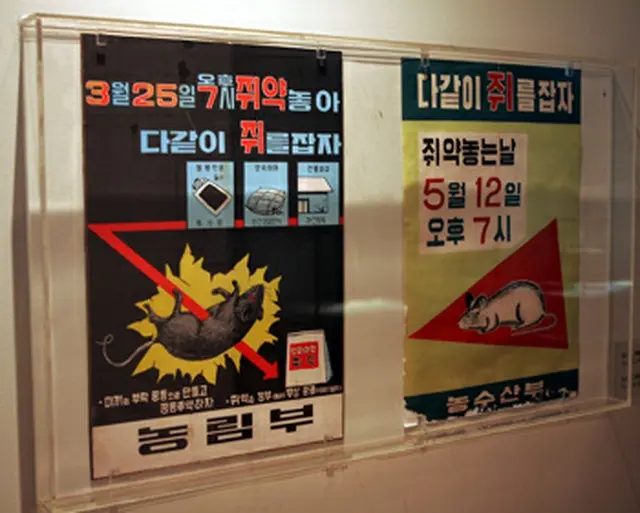 展示されているネズミ駆除ポスター＝3日、ソウル（聯合）