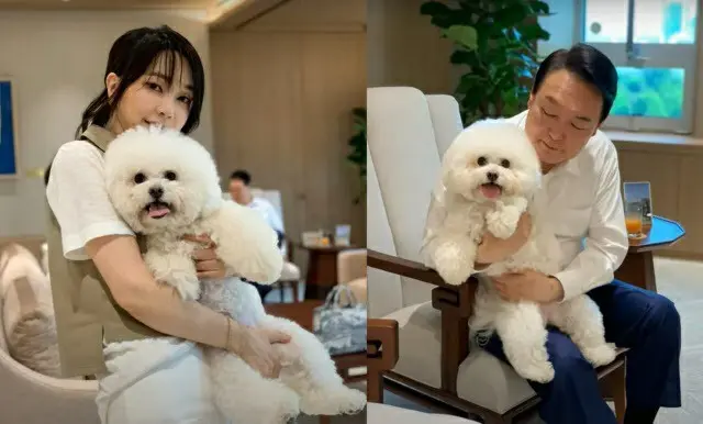 韓国尹錫悦大統領夫人の写真で「ジャーナリスト」と「弁護士」が舌戦（画像提供:wowkorea）