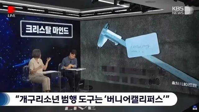韓国三大未解決事件「カエル少年事件」の使用凶器や犯人の新仮説に犯罪心理学の教授は「感動」（画像提供:wowkorea）