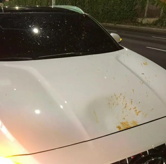 走行中の車に「生ごみ」が投げつけられる？被害者「チョングッチャン（発酵させた大豆）の臭いが充満」（画像提供:wowkorea）