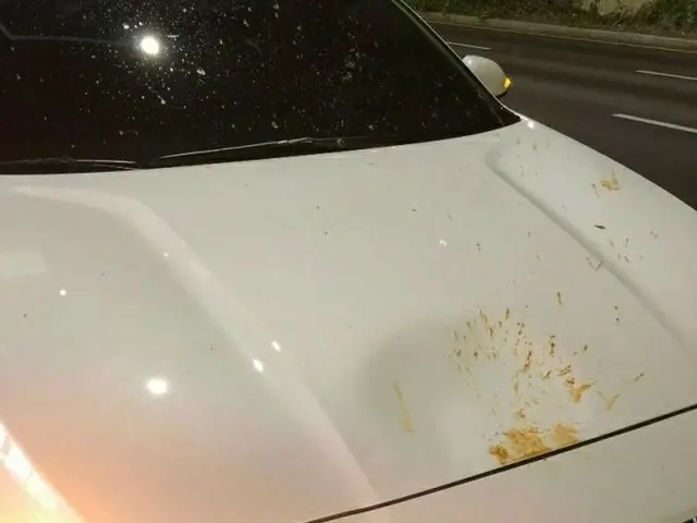 走行中の車に「生ごみ」が投げつけられる？被害者「チョングッチャン（発酵させた大豆）の臭いが充満」（画像提供:wowkorea）