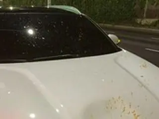 走行中の車に「生ごみ」が投げつけられる？被害者「チョングッチャン（発酵させた大豆）の臭いが充満」