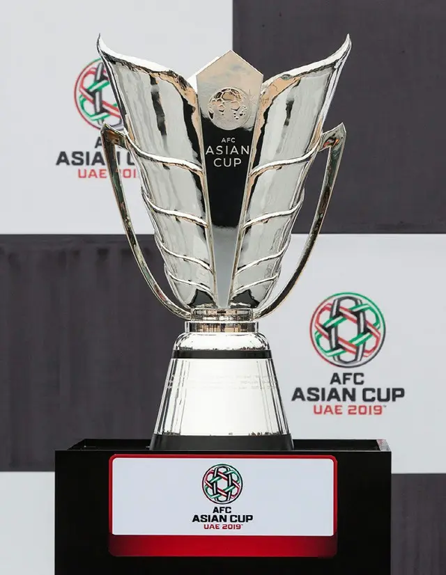 大韓サッカー協会、来年のアジアカップ誘致へ…自治体の意向書も受け付け（画像提供:wowkorea）