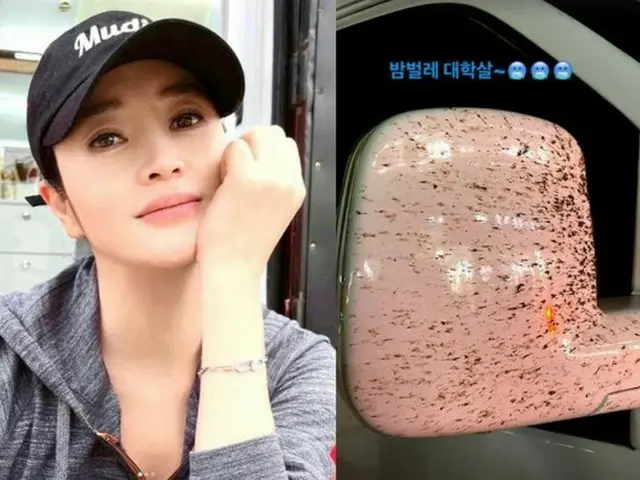 女優キム・ヘス、ヒドい車の状態にビックリ…サイドミラーに残った“大虐殺”に驚く（画像提供:wowkorea）