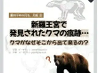 慶州千年の月光、月城⑧  新羅王宮で発見されたクマの痕跡