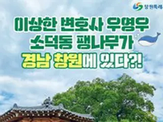 ドラマ「ウ・ヨンウ弁護士は天才肌」で登場する木が話題に