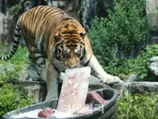 ソウルの猛暑注意報は解除…首都圏以外では継続、または新規発令＝韓国報道