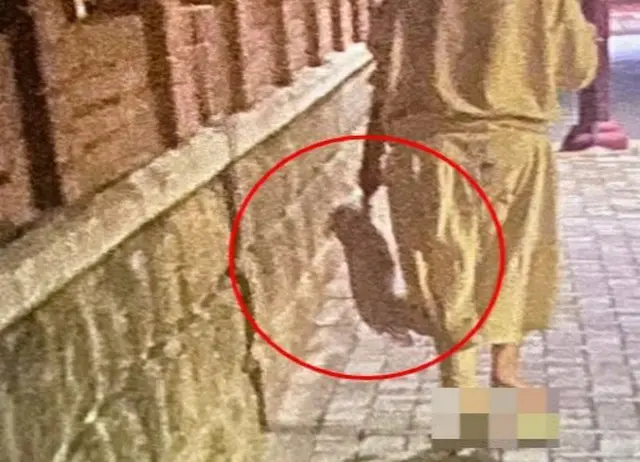 犬の前足をまるでビニール袋のように扱う飼い主…「わたしの人形だ」＝韓国（画像提供:wowkorea）