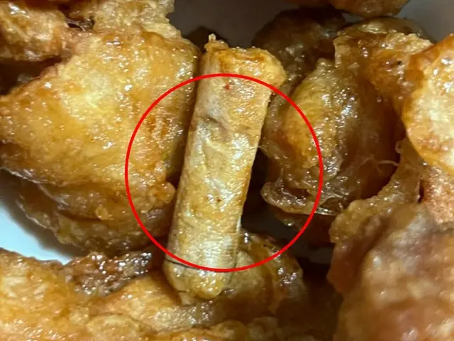 チキンに”タバコの吸い殻”混入、飲食店が廃業に＝韓国（画像提供:wowkorea）