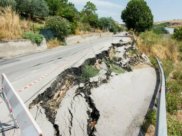 岩に「ドン」...済州のレンタカー事故、運転者が泥酔状態だった=韓国(画像提供:wowkorea)