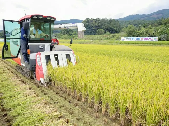 韓国の食品業界、高騰した小麦粉の代わりに「米粉」で製品開発に乗り出す（画像提供:wowkorea）