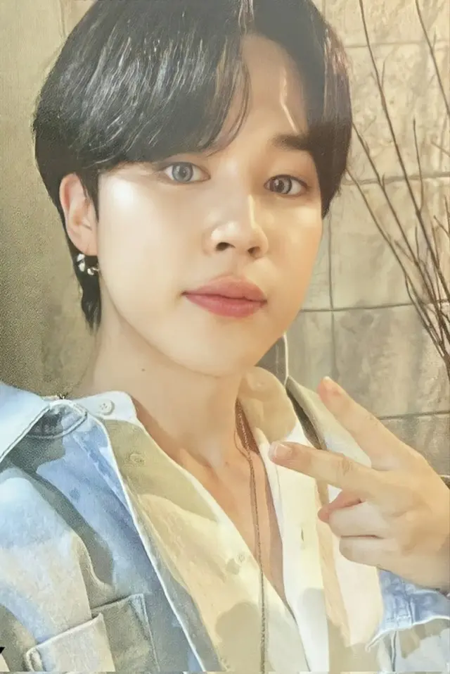 「BTS」JIMINお薦めのディズニー映画にメンバーも共感！「本当に泣いた」（画像提供:wowkorea）