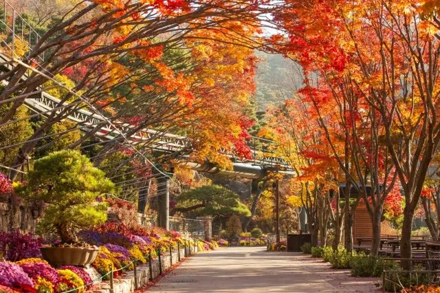 消防庁「秋の登山に気をつけてください」…紅葉シーズンに山岳事故が最多＝韓国（画像提供:wowkorea）