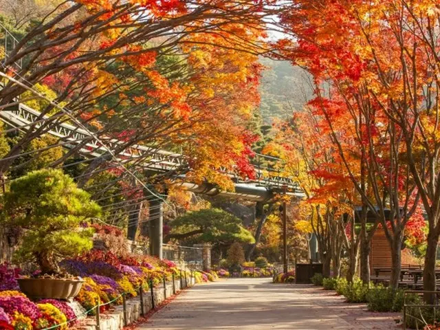 消防庁「秋の登山に気をつけてください」…紅葉シーズンに山岳事故が最多＝韓国（画像提供:wowkorea）