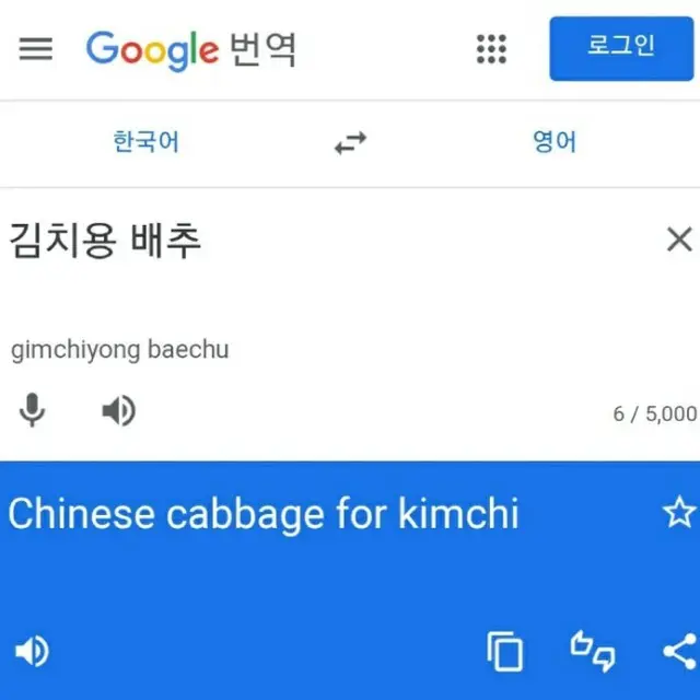 「Chinese cabbage for kimchi」？韓国教授、Google翻訳の「キムチ用 白菜」表記に一喝（画像提供:wowkorea）