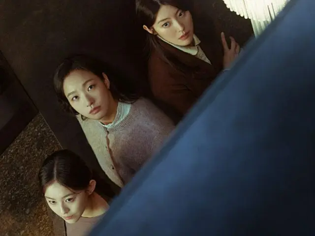 Netflixドラマ「シスターズ」、ベトナムの要請に従い現地放映を中断（画像提供:wowkorea）