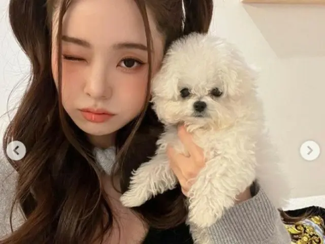 YouTuberのソン・ジア（フリージア）が愛犬を飼い始めたが、ペットショップから購入したという疑惑について釈明した（画像提供:wowkorea）
