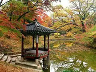なぜそこに出てくる…昌徳宮の後苑にまたイノシシが現れる＝韓国