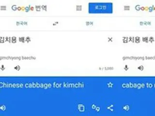 韓国教授が報告…Google「キムチ用 白菜」の英訳から「Chinese」が消えた