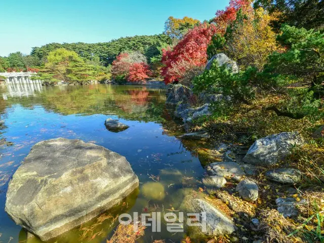 顕忠祠の紅葉（画像提供:wowkorea）