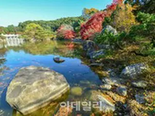 ＜韓国旅行＞忠清南道で紅葉を楽しむ