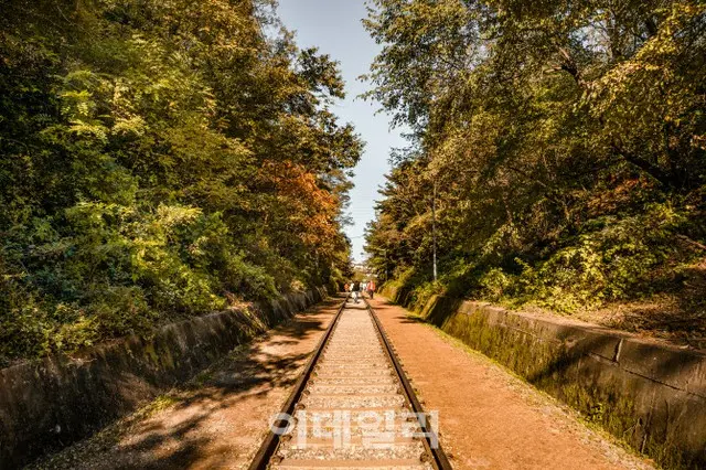 九老ハンドン鉄道（画像提供:wowkorea）
