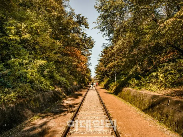 九老ハンドン鉄道（画像提供:wowkorea）