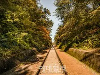 ＜韓国旅行＞ソウル市内の紅葉の名所