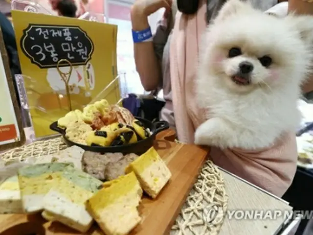 ペット用のおやつ（資料写真）＝（聯合ニュース）