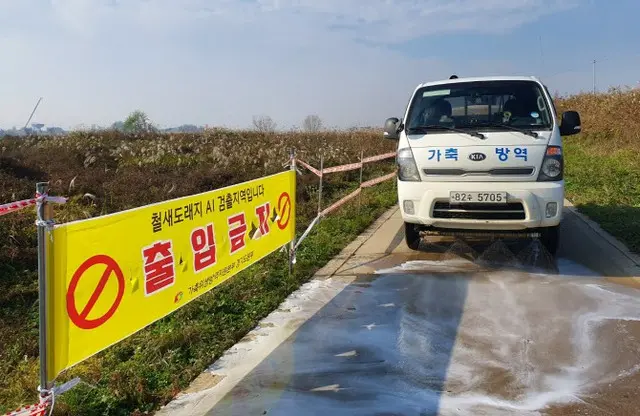 1万2000羽飼育...清州の鴨養鶏場で鳥インフルエンザ検出＝韓国（画像提供:wowkorea）