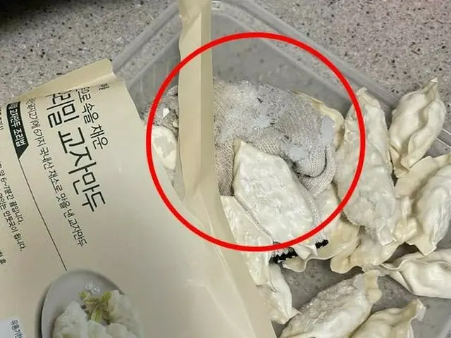 冷凍ギョーザに「軍手？」...販売会社は「無期限販売中断」＝韓国（画像提供:wowkorea）