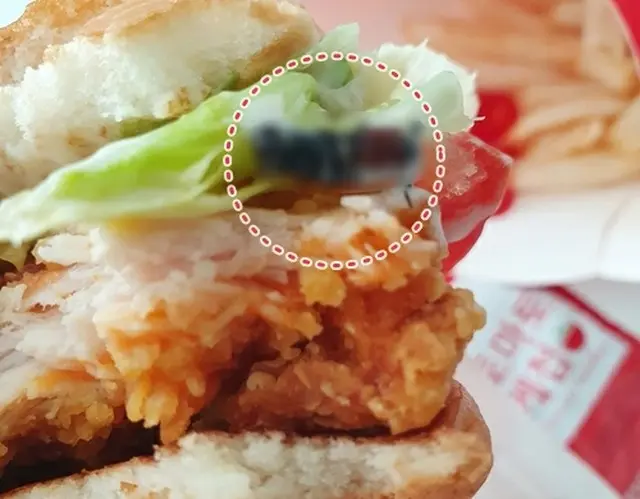 口先だけの「衛生管理徹底」…マクドナルドのハンバーガー異物は虫と判明＝韓国（画像提供:wowkorea）