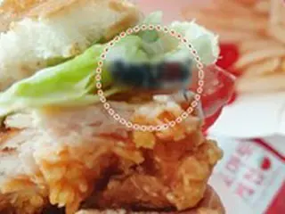口先だけの「衛生管理徹底」…マクドナルドのハンバーガー異物は虫と判明＝韓国