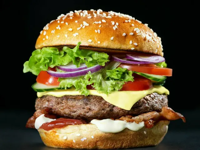 韓国マクドナルドでまた異物混入…今回はハッシュポテトに蚊が付着（画像提供:wowkorea）
