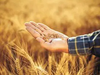 世界の食糧価格は8か月連続下落…農食品省「需給の点検続ける」＝韓国