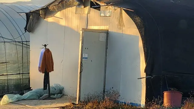 いまだに倒壊しそうなビニールハウスに暮らさざるを得ない外国人労働者たち＝韓国報道（画像提供:wowkorea）