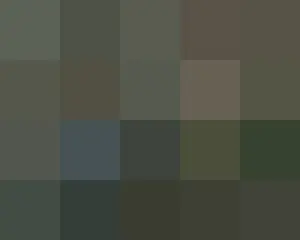 DinDin、新型コロナウイルス感染で「1泊2日」の収録に不参加…「演芸大賞」はどうなる？