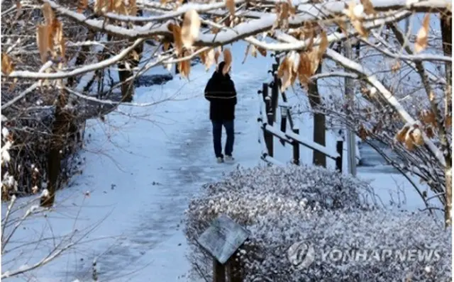 雪が積もっている忠清北道清州市内＝14日、清州（聯合ニュース）
