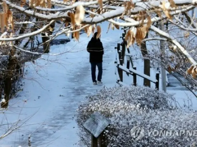 雪が積もっている忠清北道清州市内＝14日、清州（聯合ニュース）