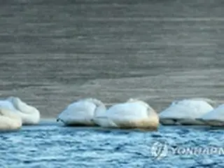 ここ２週間は５０年ぶりの寒さ　来月後半には平年並みの気温に＝韓国