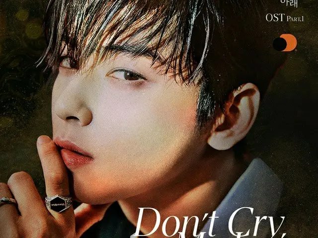≪今日のK-POP≫チャ・ウヌの「Don’t Cry, My Love（クヌギの木の下Xチャ・ウヌ」　優しくも力強い歌声に包まれる（画像提供:wowkorea）