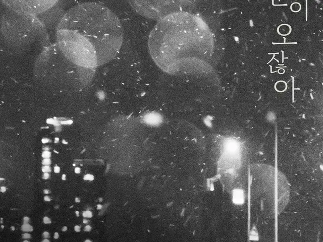 ≪今日のK-POP≫イ・ムジン（Feat.Heize）の「When it snows」　雪が降る度に思い出す未練ソング（画像提供:wowkorea）
