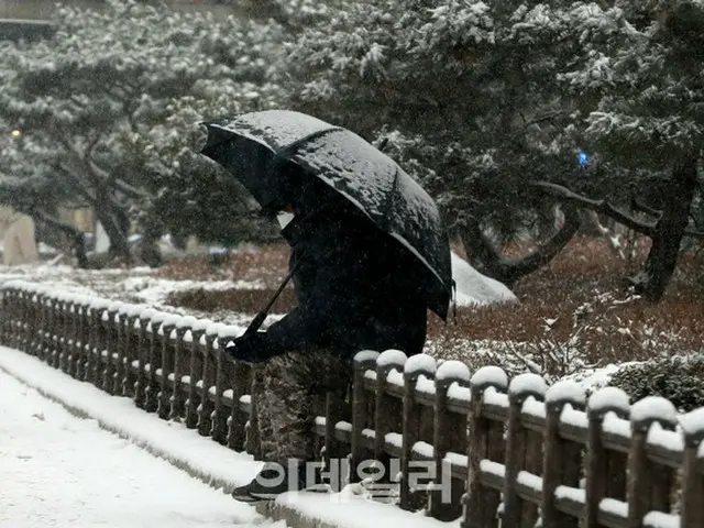 屋久島で登山中の30代韓国人が行方不明...大雪で捜索難航（画像提供:wowkorea）
