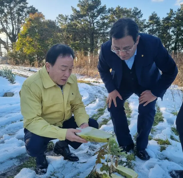 NH農協損害保険代表、済州島の大雪被害現場を点検＝韓国（画像提供:wowkorea）