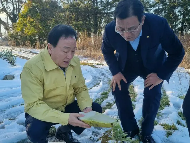 NH農協損害保険代表、済州島の大雪被害現場を点検＝韓国（画像提供:wowkorea）