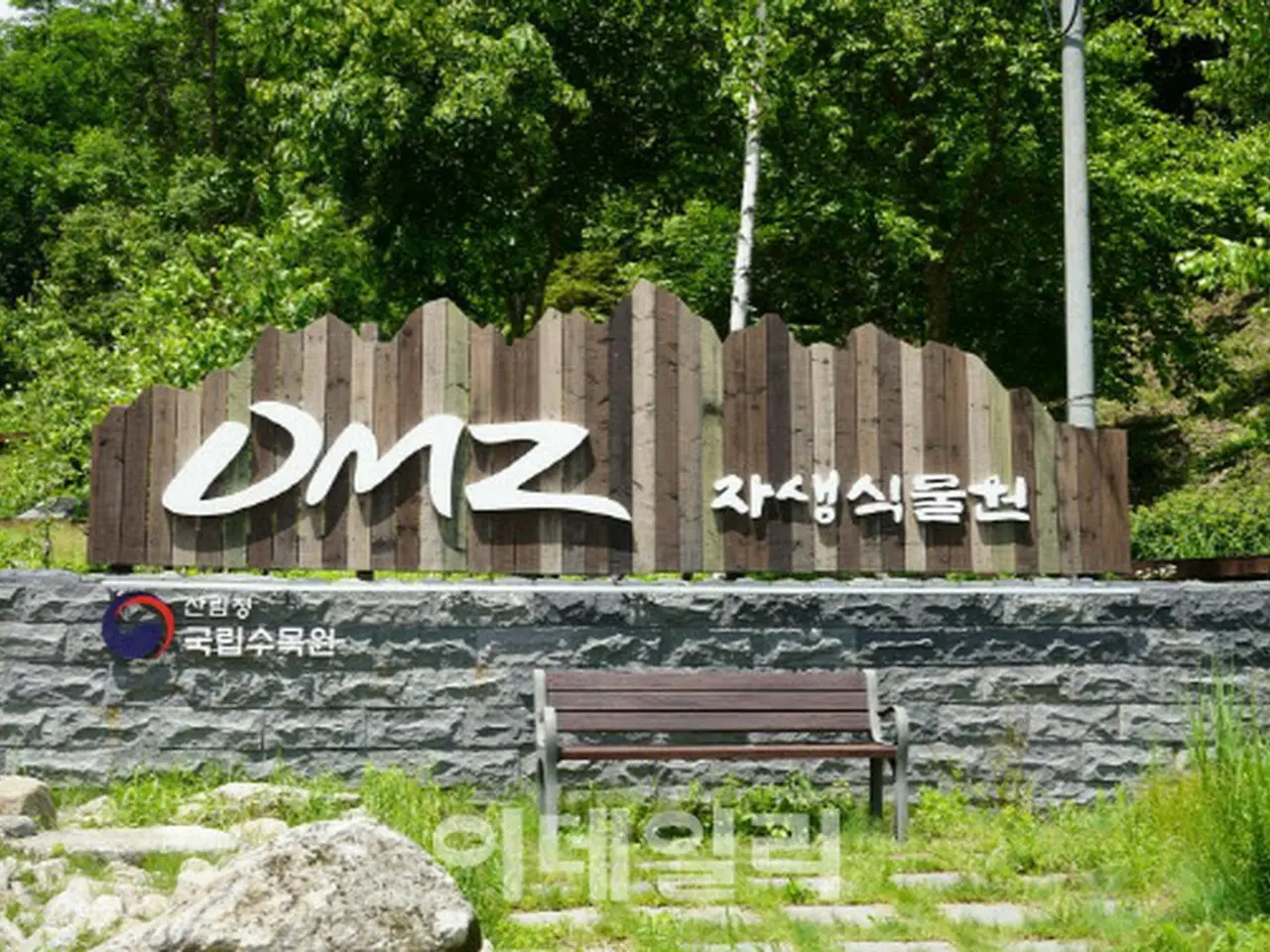 DMZ自生植物園をグーグルで訪問、韓国国立樹木園がオンライン展示＝韓国 | wowKorea（ワウコリア）