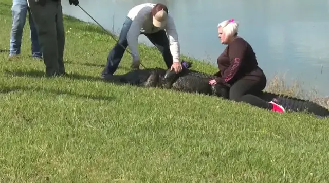 愛犬の散歩中に水の中に連れていかれて…ワニ襲撃で米女性死亡（画像提供:wowkorea）